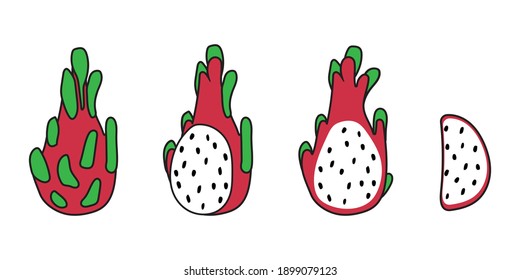 Line drawings of Dragon fruit, Dragon fruit element, Vector illustrations isolated.