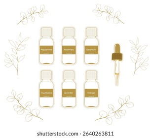 Line drawings of eucalyptus, rosemary and other essential oil bottles