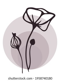 line drawings of herbs, leaves, flowers of berries, black and white graphics,stylized vector