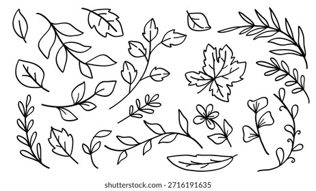 Dibujos de líneas de hojas y ramas. Ilustración vectorial