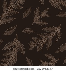 Line drawings of various coffee trees - vector illustration