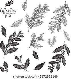 Desenhos de linha de vários cafeeiros - ilustração vetorial