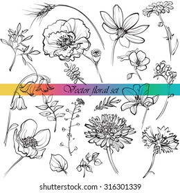line drawings of wildflowers, grasses and leaves for your design, white background, isolated objects