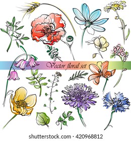 line drawings of wildflowers, grasses and leaves for your design, white background, isolated objects