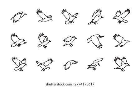 Line drawn bird animation frames depicting avian movement. Ideal for motion graphics and educational content.