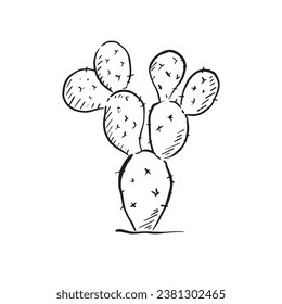 A line drawn cactus illustration created by hand. 