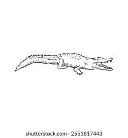 Um crocodilo desenhado em linha no estilo de esboço preto e branco.