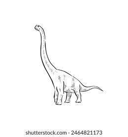 A line drawn illustration of a brachiosaurus. Hand drawn in black and white and shaded using lines. A simple sketchy style illustration vectorised for many uses.