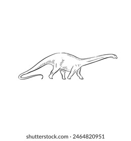 A line drawn illustration of a brontosaurus. Hand drawn in black and white and shaded using lines. A simple sketchy style illustration vectorised for many uses.