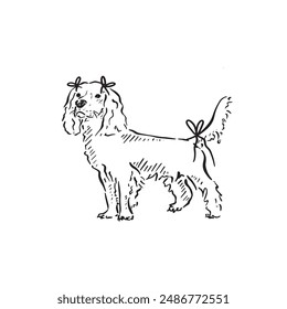 Line drawn illustration of a cocker spaniel with bows tied to ears and tail, ready for a party. Drawn by hand in a sketch style.