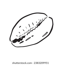 A line drawn illustration of a cowry shell. Black and white hand drawn sketch with subtle shading.