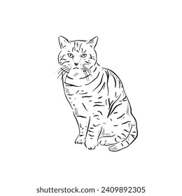 A line drawn illustration of a farm tabby cat in black and white. Hand drawn and vectorised for a multiple of uses.