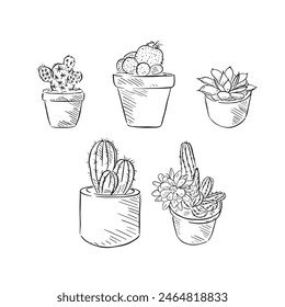 A line drawn illustration of five individual eps files of house plants (cacti) in black and white. Drawn by hand in a sketchy style and vectorised for a variety of uses.