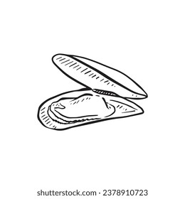 A line drawn illustration of a mussel in a shell. Hand drawn and perfect for menus or fishmongers!