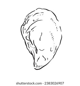 A line drawn illustration of an oyster shell. Black and white hand drawn sketch with subtle shading.