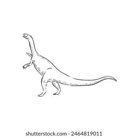 A line drawn illustration of a plateosaurus. Hand drawn in black and white and shaded using lines. A simple sketchy style illustration vectorised for many uses.