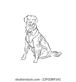 A line drawn labrador dog wearing a little outfit. with a waistcoat and a bow tie. Taken inspiration from those who have dogs at their weddings! Hand drawn on Procreate. 