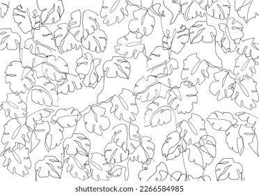 Liniengezeichnetes Monstera-Muster. Tropischer Wald. Dschungelzeichnung.
Monstera-Blätter gezeichnet mit Stift. Kontinuierlich gezeichnete tropische Blätter einer Linie. Schwarz-Weiß-tropisches Muster. 