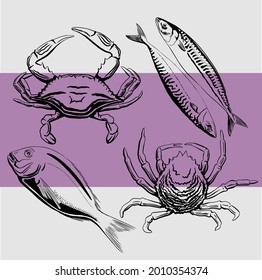 Line drawn seafood. Fish, crayfish, molluscs. Vector