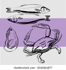 Line drawn seafood. Fish, crayfish, molluscs. Vector
