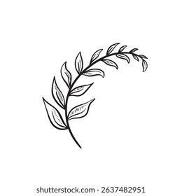 A line drawn sprig. Botanical illustration vector.