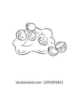 A line drawn vector of cracked eggs. A hand drawn black and white illustration.