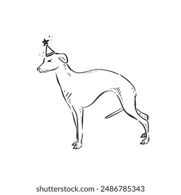 A line drawn whippet puppy dog drawn in black, vectorised and shaded. The whippet is wearing a party hat with a star on the top.