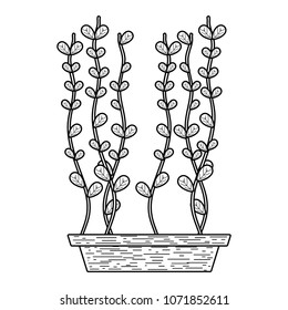 line ecology natural leaves plant inside flowerpot
