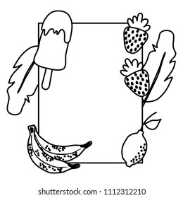 line emblem with ice lolly and tropical fruits and plant vector illustration