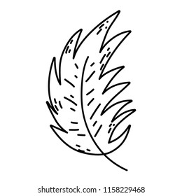 line exotic cute leaf nature style