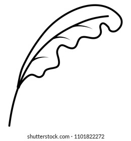 line exotic leaf style botanic plant