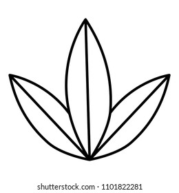 line exotic leaves style botanic flora