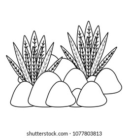 line exotic plants with natural leaves and stones