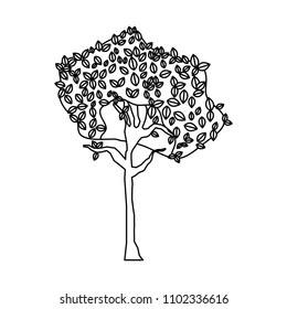 line exotic tree botanic stalk nature