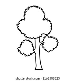 line exotic tree branches leaves stalk