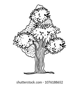 line exotic tree with nature branches leaves