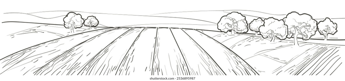 Campo de línea en Pequeñas colinas. Prado verde hierba, pastizales, pastos, granja, árboles. Paisaje rural panorama de pastos del campo. Ilustración vectorial dibujada a mano