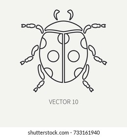 Line flat plain vector wildlife fauna icon dot ladybug. Simplified retro. Cartoon style. Insect. Beetle. Entomology. Tattoo art. Nature. Forest. Illustration and element for your design and wallpaper.