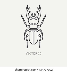 Line flat plain vector wildlife fauna icon stag beetle. Simplified retro. Cartoon style. Insect. Deer bug. Entomology. Tattoo art. Nature. Horn. Forest. Illustration, element for your design wallpaper
