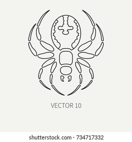 Line flat plain vector wildlife fauna icon black widow spider. Simplified retro. Cartoon style. Insect. Web. Entomology. Tattoo art. Nature. Predator. Illustration, element for design and wallpaper.