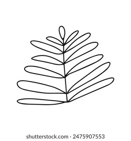 line floral isolated on white background