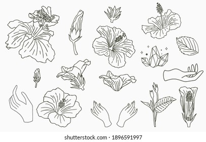 Line flower collection with hibiscus.Vector illustration for icon,sticker,printable and tattoo