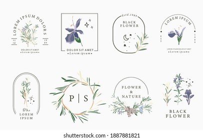 Line flower collection with rosemary.Vector illustration for icon,sticker,printable and tattoo