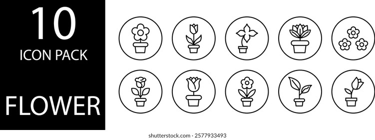 Line flower icon with fine details, creating a soft and artistic impression.