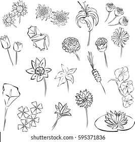 Line of flowers