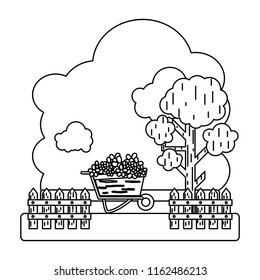 line flowers inside wheelbarrow with trees and grillage farm