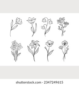 line flowers set graphic resource