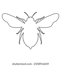 Line fly bee. Honeybee insect contour shape. Vector illustration on white background.