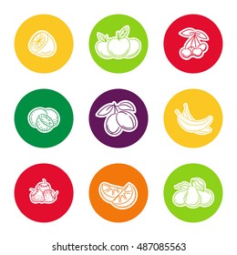 Line fruit icon set in colorful curcles vector illustration