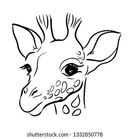 line giraffe vector illustration 
